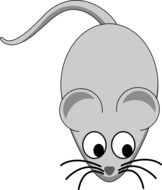 drawing of a gray mouse on a white background