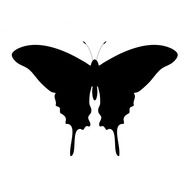 Black butterfly silhouette as a clipart