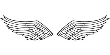 Insignia Wings drawing
