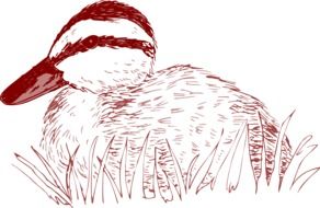 Drawing of the duck in the grass clipart