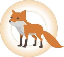 orange fox on a circle background