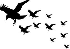 Crows silhouettes clipart