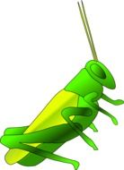 grasshopper green drawing