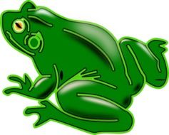 a green tree frog