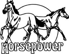 Horsepower picture