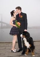 wedding photo with dog in Gothenburg