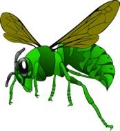 graphic image of a green hornet