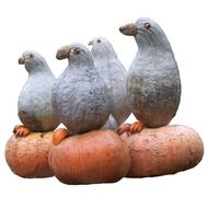 birds on a pumpkin