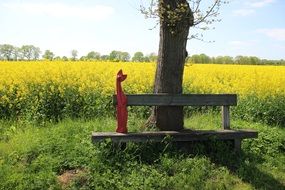 wooden bench on the background of a sunflower field