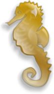 golden Sea Horse, drawing with shadow