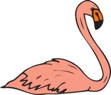 pink swimming flamingo drawing