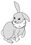 Rabbit small Cute drawing