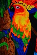 Parakeet Colorful Bird drawing