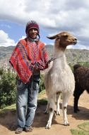 shepherd in poncho and lama in Peru