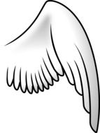 clipart of white wing