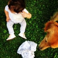 child and dog on the grass