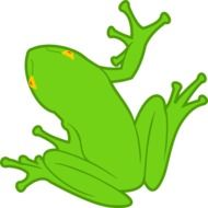 Ä°llustration of Green Frog