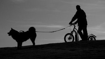 cyclist with a dog