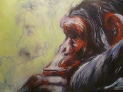 apeâs and manâs faces, hand drawn sketch