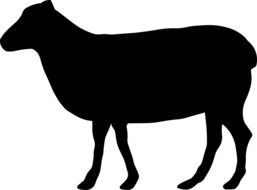 painted black sheep silhouette
