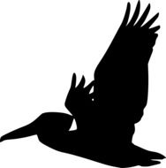 black pelican silhouette