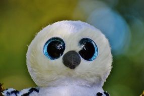 plush owl with big blue eyes