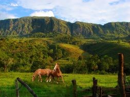 horses and Mountains Serra landscape