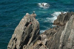 rocks on the background of sea water