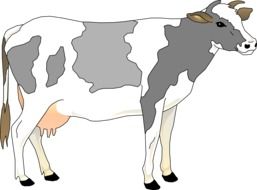 Gray White cow drawing