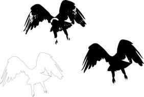 Eagle Bird silhouettes