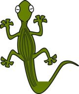 drawing of a green lizard on a white background