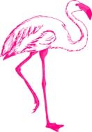 Illustration of Pink flamingo