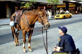 policeman and Horse looking to each other on Street