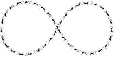 ants as a symbol of infinity