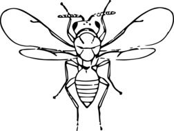 fly silhouette