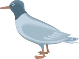 Blue and grey gull clipart on white background