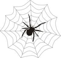 Spider on web clipart
