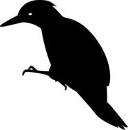black woodpecker silhouette