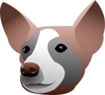 tricolor Dog Face, rendering