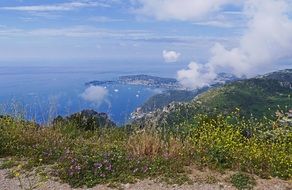 Alpine on a Mediterranean sea bank