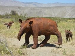 california tapir on the grass