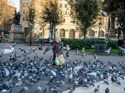 Woman Feeding Birds, spain, barcelona