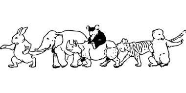 Animals drawing