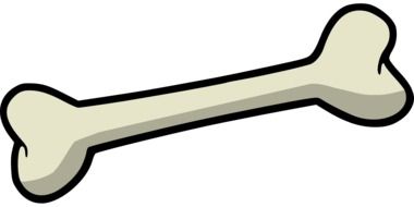 painted white bone