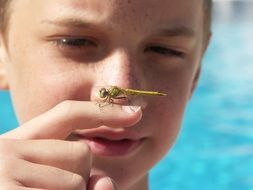 dragonfly on the finger of a child