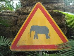 sign of danger of animals in jungle
