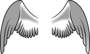 clipart of angel wing