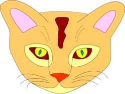 Cute colorful cat clipart