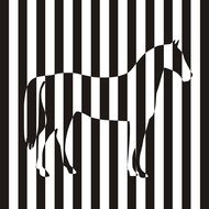 Zebra vector animal drawing