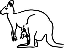 Kangaroo with Baby kangaroo drawing